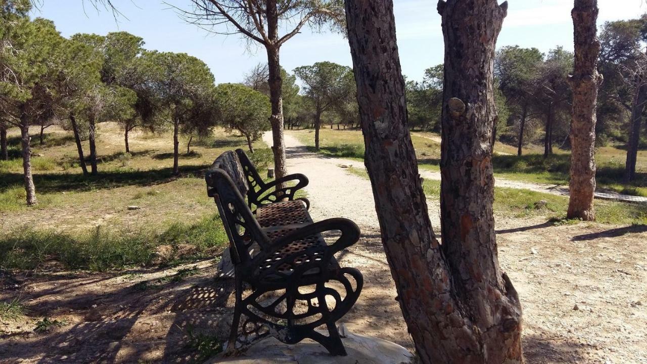 Apartmán Studio Bellavista La Mata  Exteriér fotografie